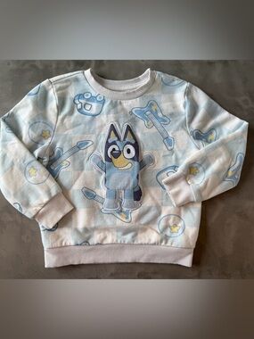 Bluey Character Pullover Sweatshirt in Light Blue and White
